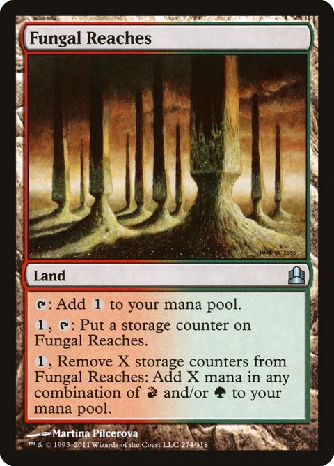 274-fungalreaches