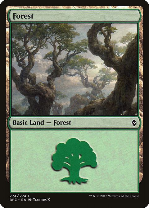 274a-forest