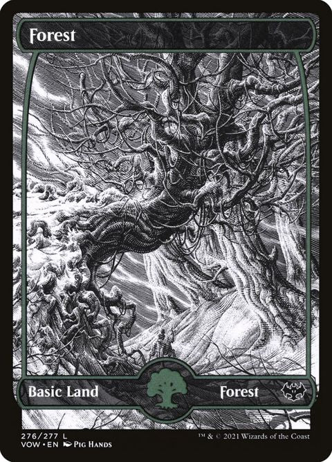 276-forest