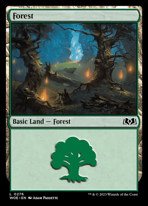 276-forest