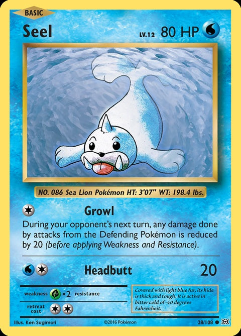 28-seel