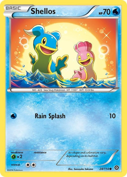 28-shellos