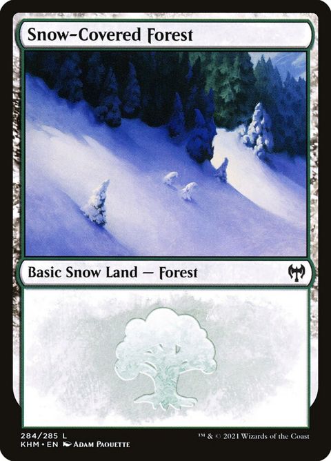 284-snowcoveredforest