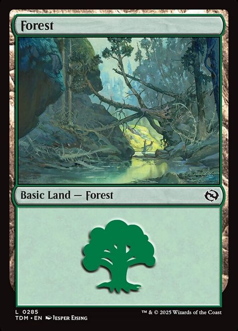 285-forest