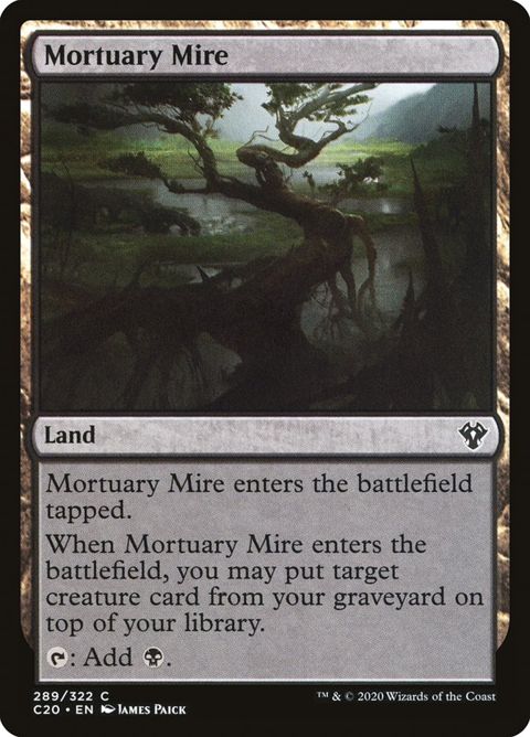 289-mortuarymire