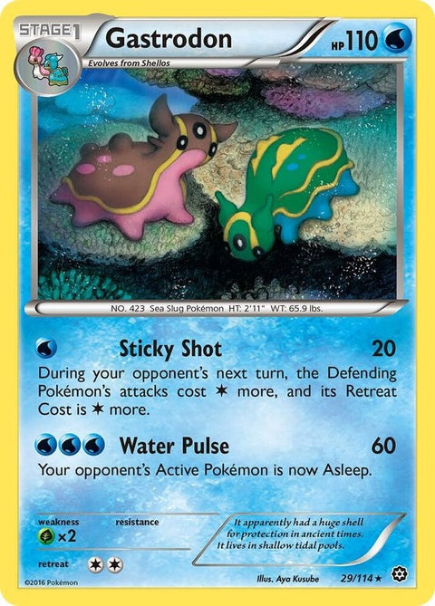 29-gastrodon