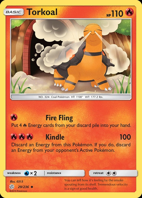 29-torkoal