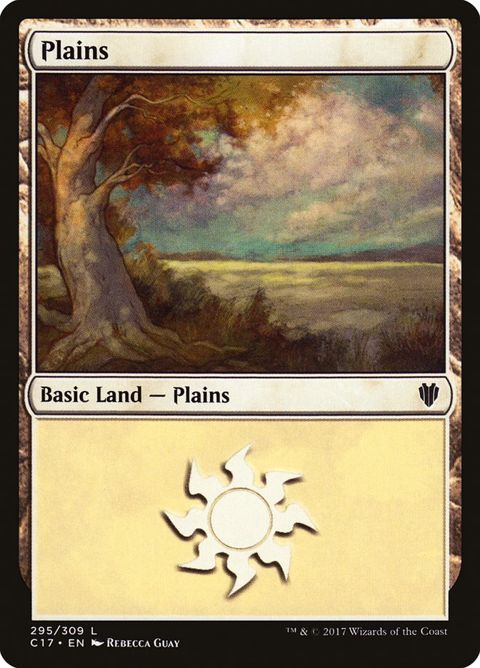 295-plains