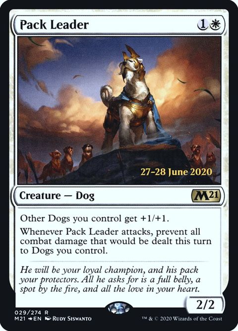 29s-packleader