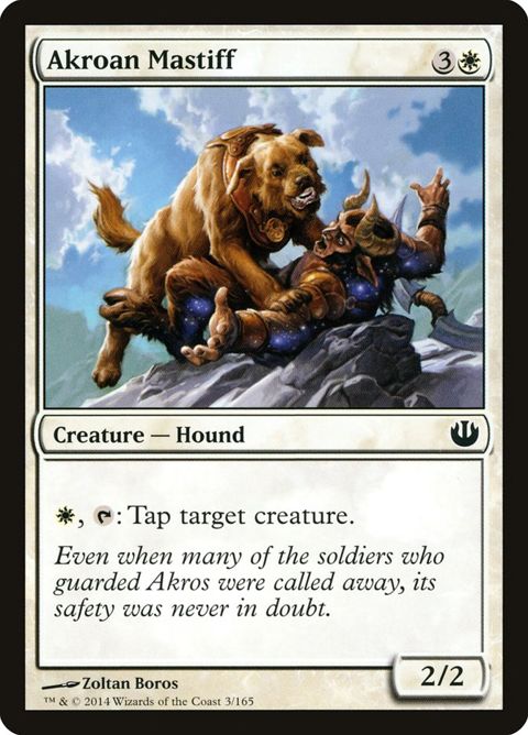 3-akroanmastiff