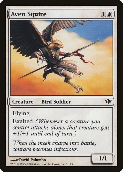 3-avensquire