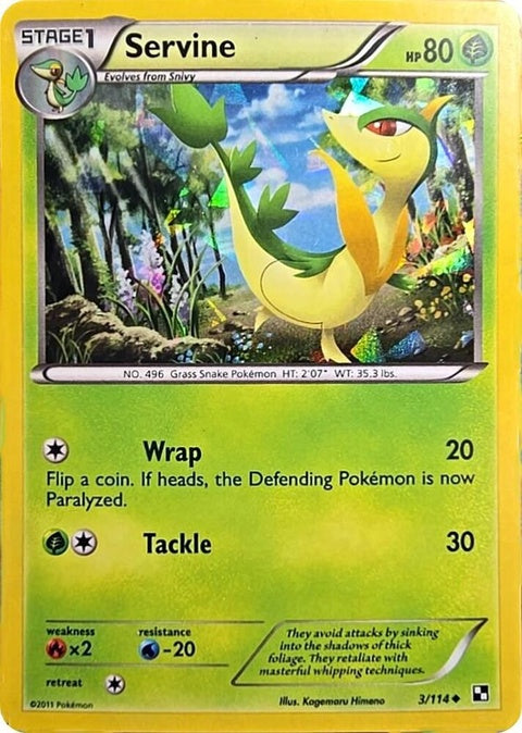 3-servine-crackediceholo