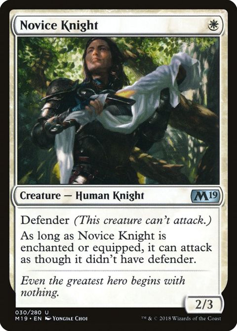 30-noviceknight