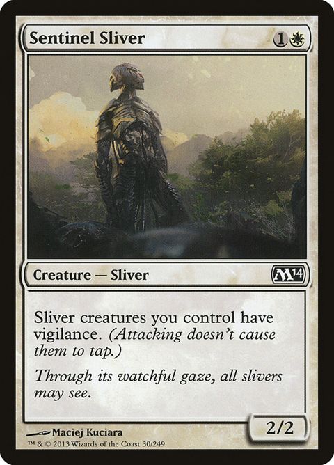30-sentinelsliver