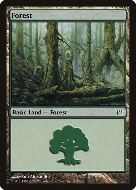 303-forest