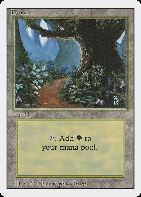 305-forest