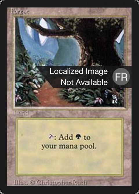 305-forest