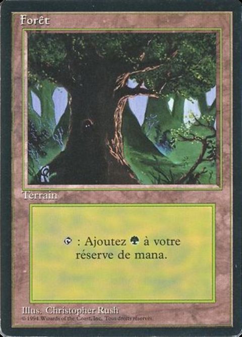 306-forest