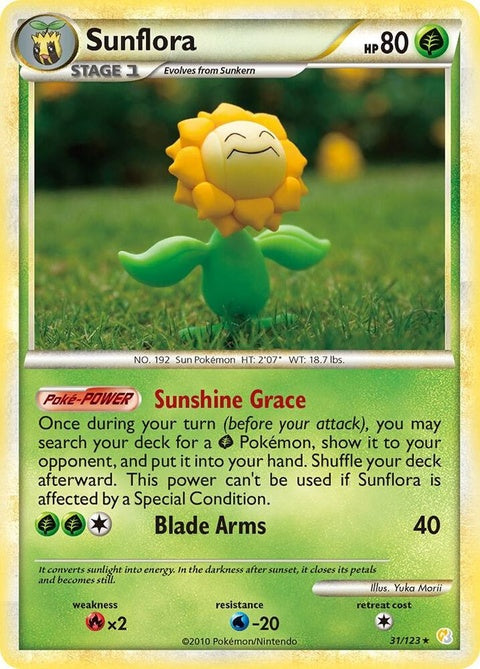 31-sunflora