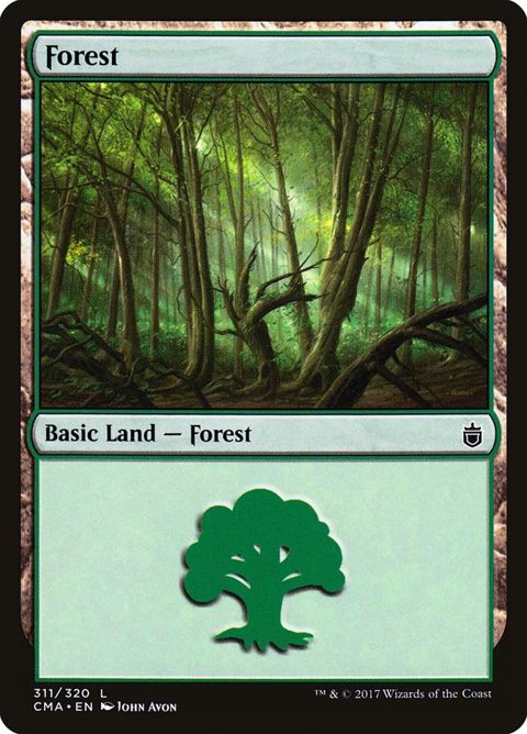 311-forest