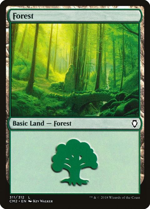 311-forest