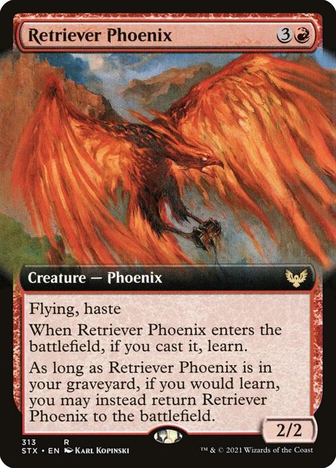 313-retrieverphoenix