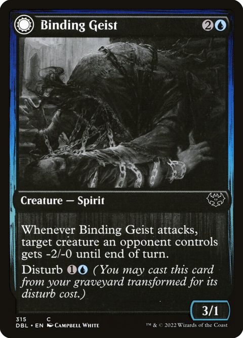 315-bindinggeistspectralbinding