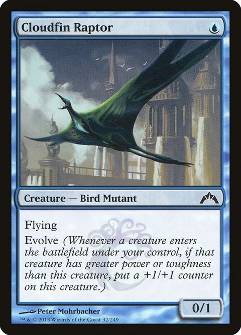 32-cloudfinraptor