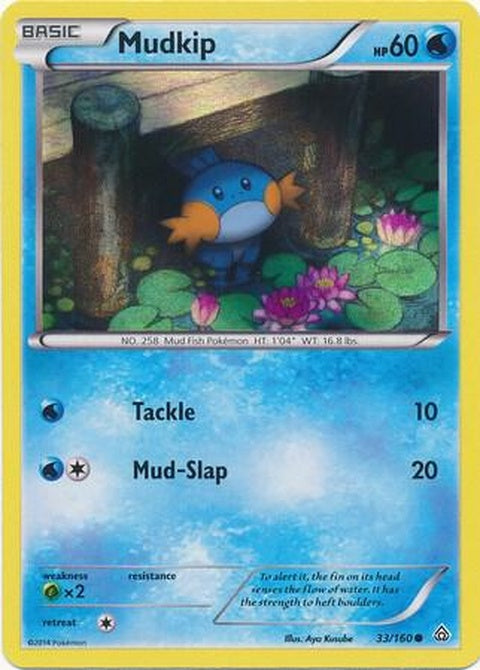 33-mudkip-sheenholo
