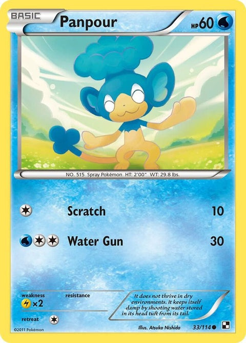 33-panpour