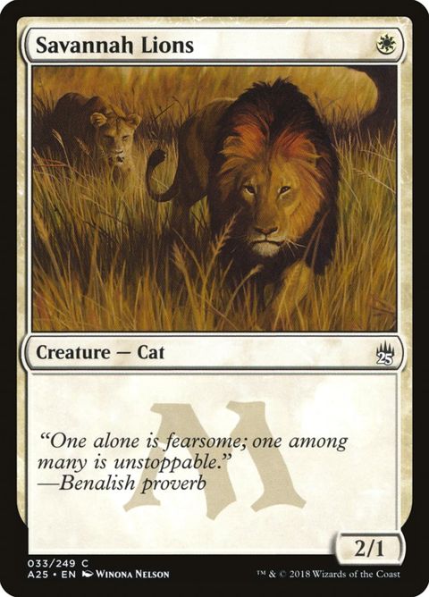 33-savannahlions