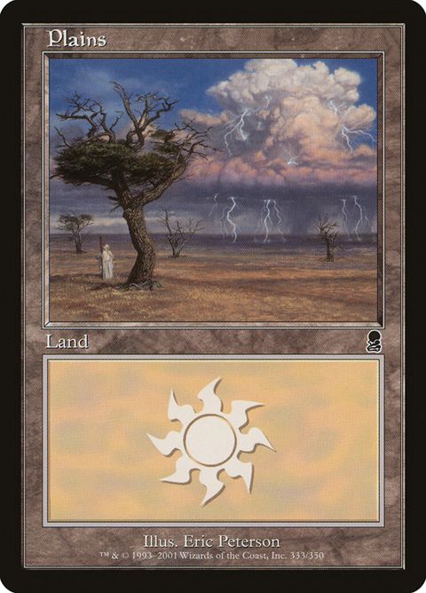 333-plains