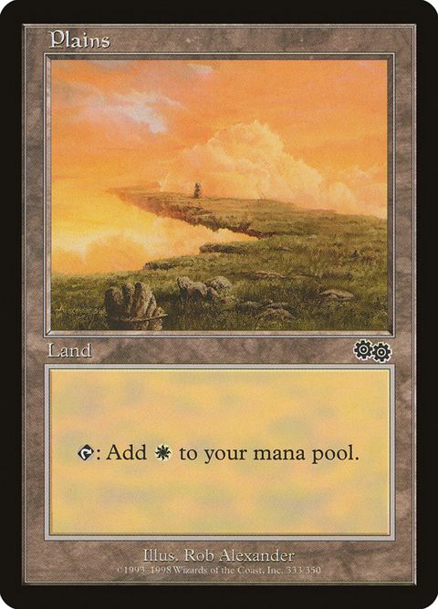 333-plains