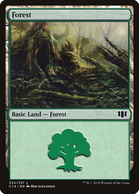 334-forest