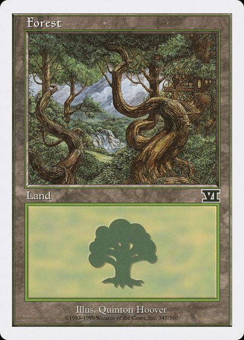 347-forest