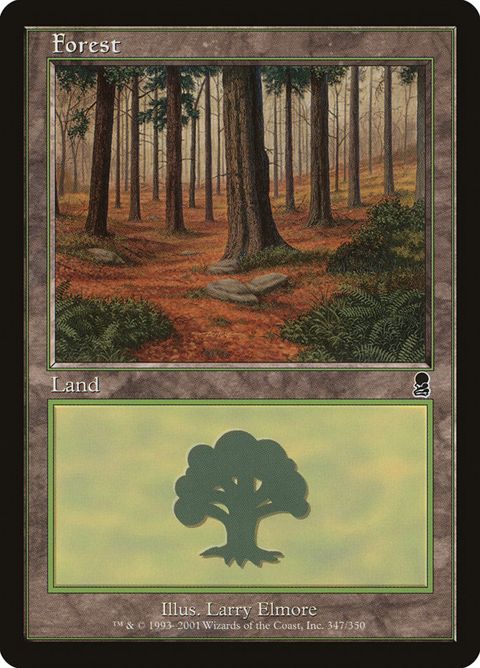 347-forest