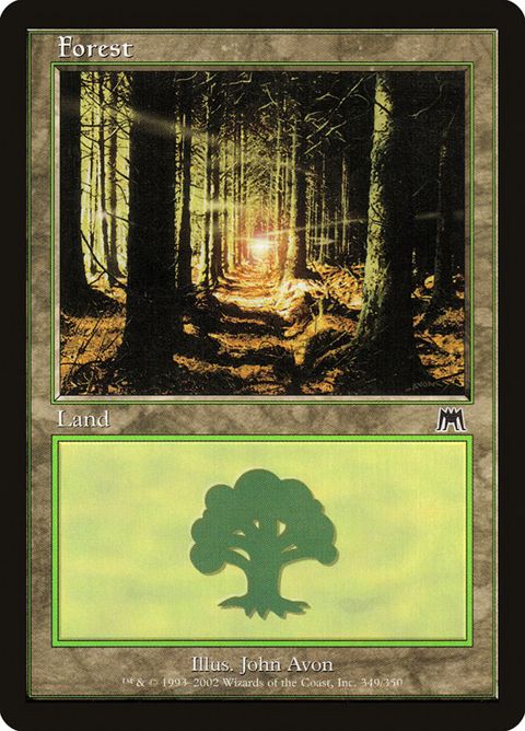 349-forest