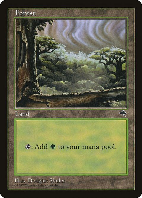 349-forest