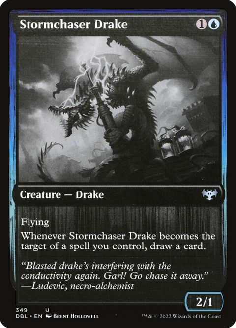 349-stormchaserdrake