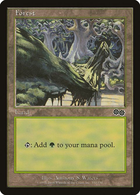 350-forest