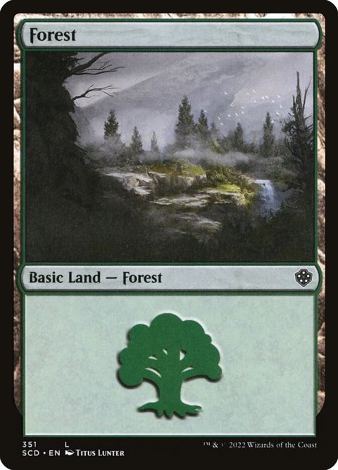 351-forest