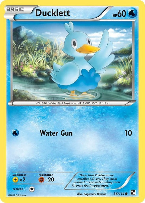 36-ducklett