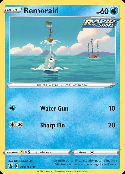 36-remoraid