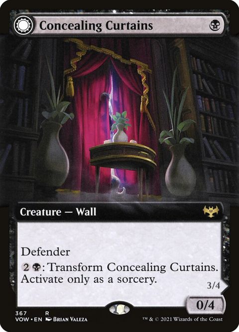 367-concealingcurtainsrevealingeye