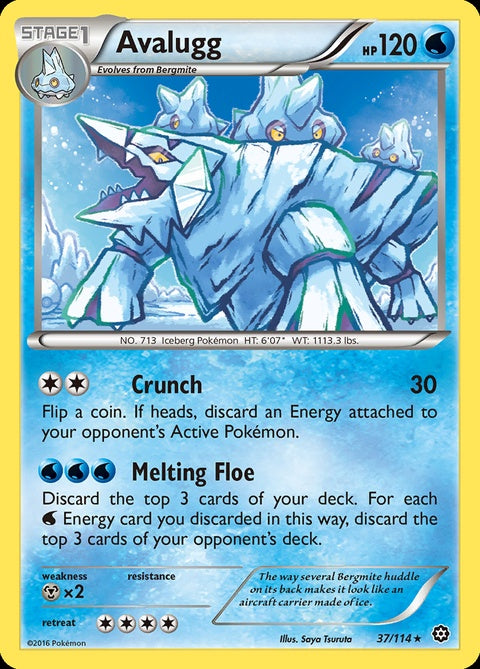 37-avalugg