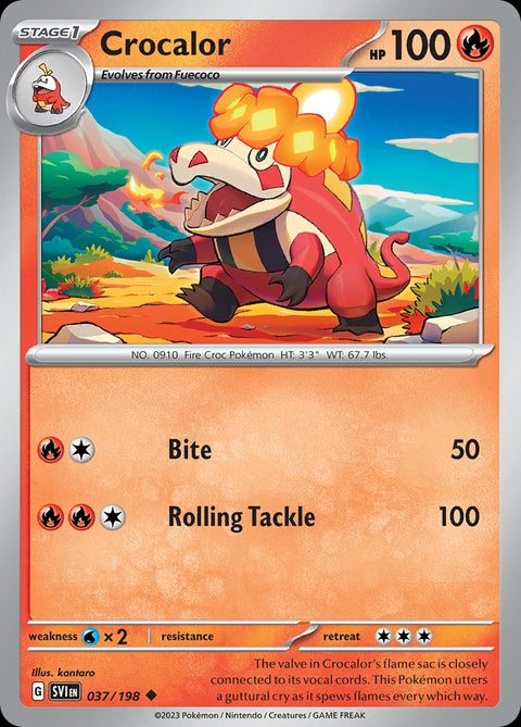 37-crocalor