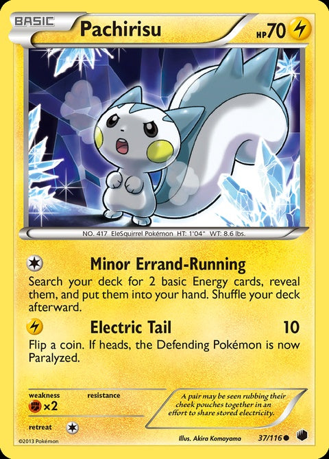 37-pachirisu