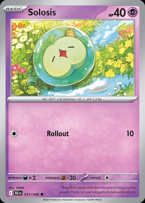 37-solosis