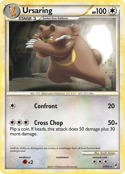 37-ursaring