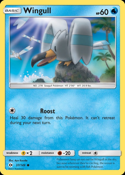 37-wingull